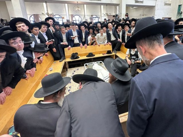 צילום: לשכת מקלב