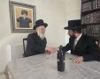 אייכלר ושטארק