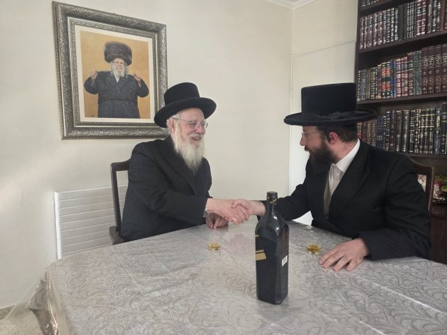 אייכלר ושטארק