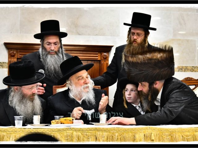 צילום: שוקי לרר