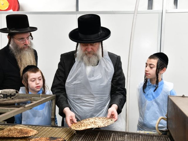 צילום: יוסי לוי