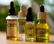 איך ממצים CBD מהצמח, מה נחשב שמן טהור ולמה הוא משמש?