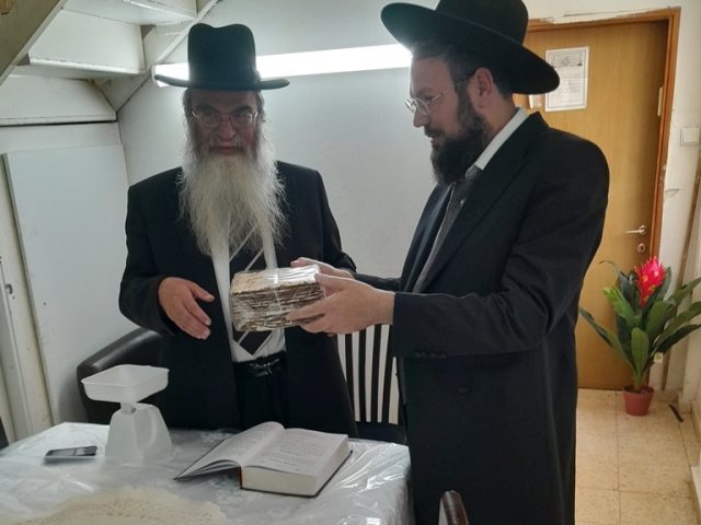 צילום: א' מיכאלי
