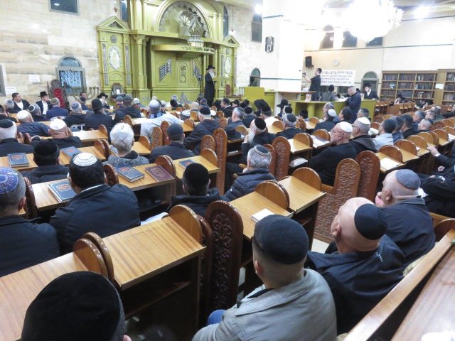 צילום: א' מיכאלי 