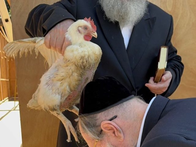 האדמור רבי יקותיאל עורך כפרות לאיש החסד הרב גשייד. המצלם