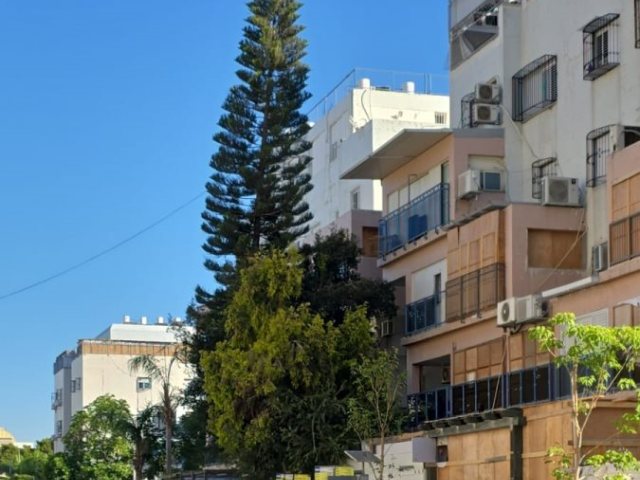 העצים שניטעו ברובע ז'. ח. ימפל