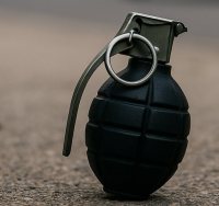 רימון רסס (אילוסטרציה AI)