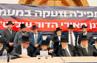 צילום: אלכס הוכברגר אבי ריין