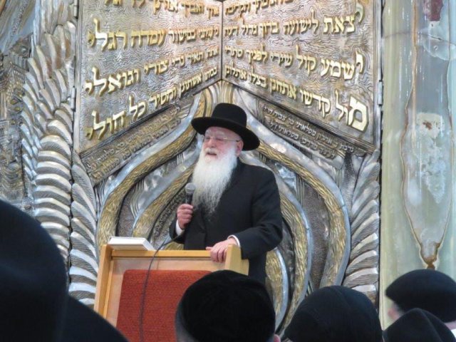 צילום: א. מיכאלי