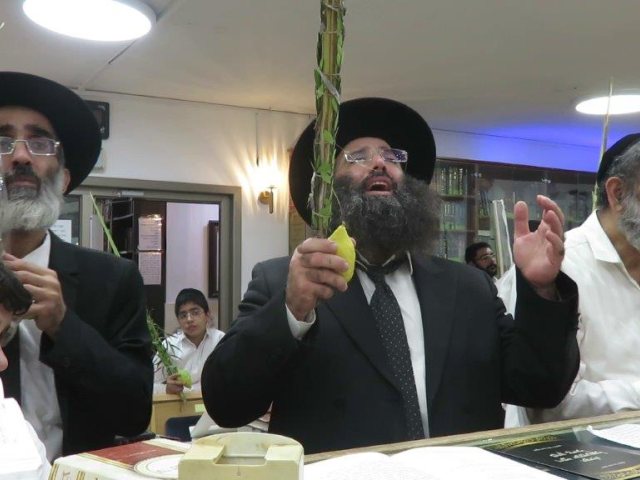 ארבעת המינים בחודש חשון. א מיכאלי