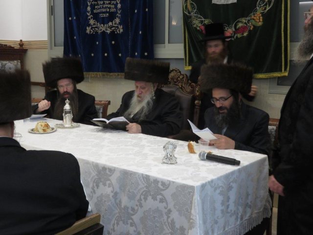 צילום: א' מיכאלי