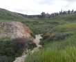 שומרי היערות: מאמץ עילאי לצמצום הפסולת ביערות הדרום