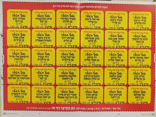 צילום: א. מיכאלי