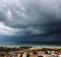 צילום: שמואל דוד