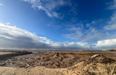 חוף הים צילום אורי קריספין