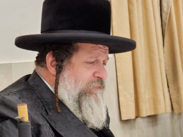 האדמור משאץ בהילולא. מוסדות שאץ