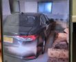  "נעצרו על חם": כתב אישום נגד גנבי רכב שפעלו גם באשדוד