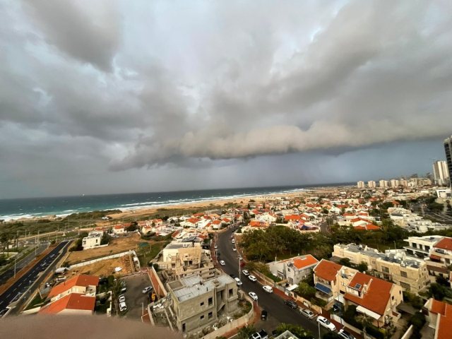 צילום: שמואל דוד