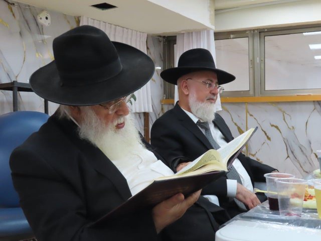 צילום: א. מיכאלי