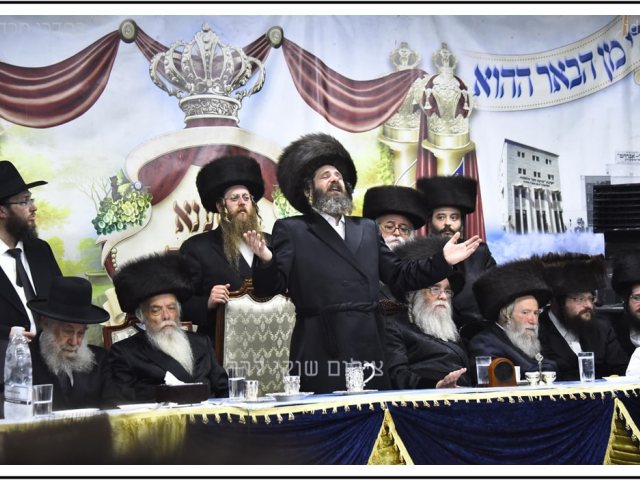 צילום: שוקי לרר