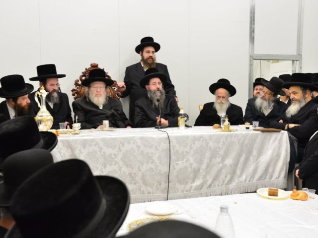 צילום: יוסי לוי