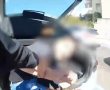 השוטרים הופתעו - גם אתם תופתעו: כמה בבאגז' אחד | צפו