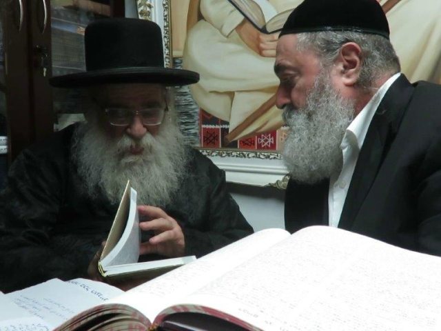 צילום: שוקי לרר