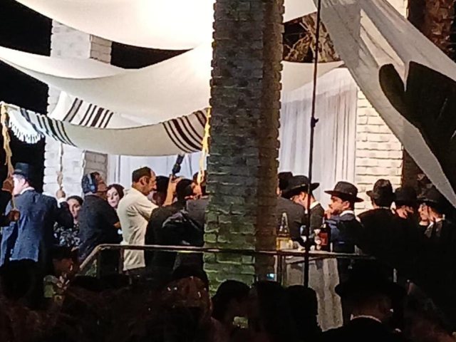 צילום: א' מיכאלי