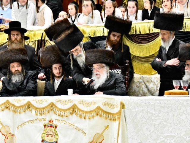 צילום: שוקי לרר
