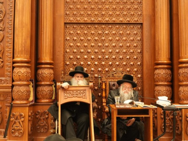 צילום: באדיבות המצלם