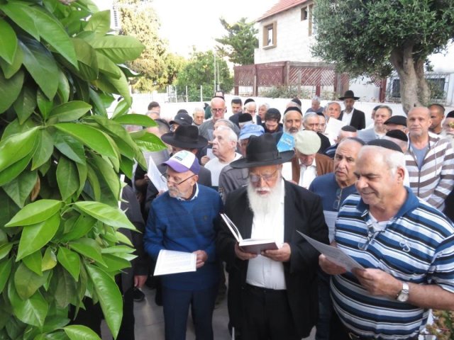 ברכת האילנות עם הגר"מ כהן. א' מיכאלי