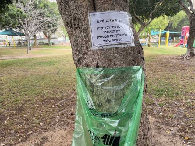 צילום: עירית אשדוד