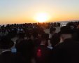 תשליך קרעטשניף בחוף. א.כ