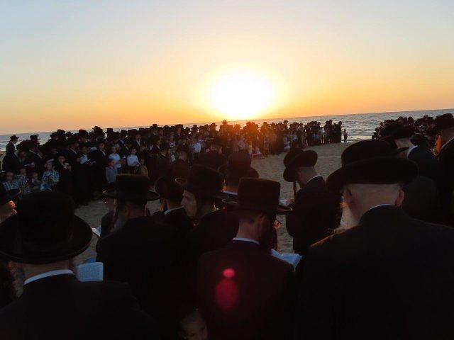 תשליך קרעטשניף בחוף. א.כ