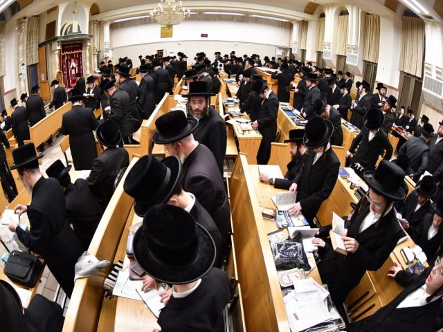 תפילת רבים בויזניץ. יוסי לוי