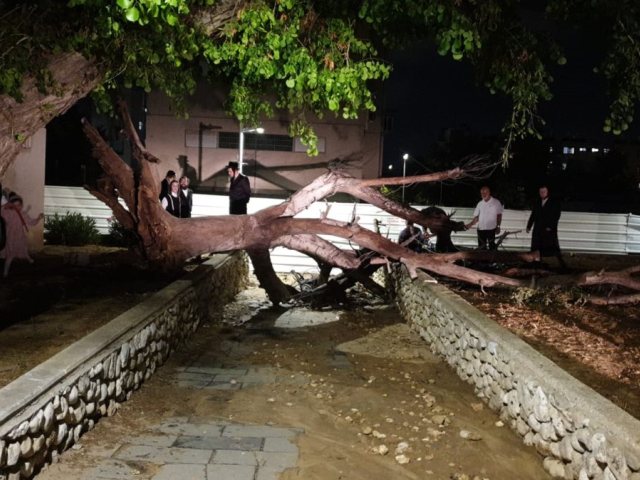 מינהלת רובע ג'