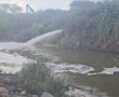 הגשמים סיכנו את הדגים בנחל, מבצע מיוחד הביא להצלתם