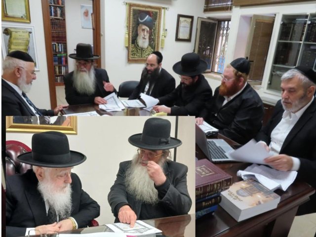 צילום: א. מיכאלי