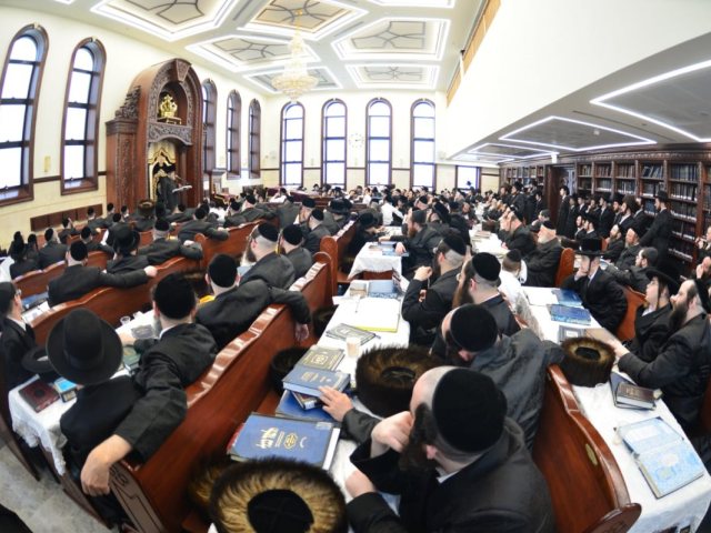שיעורי תורה מעגלים. יוסי לוי