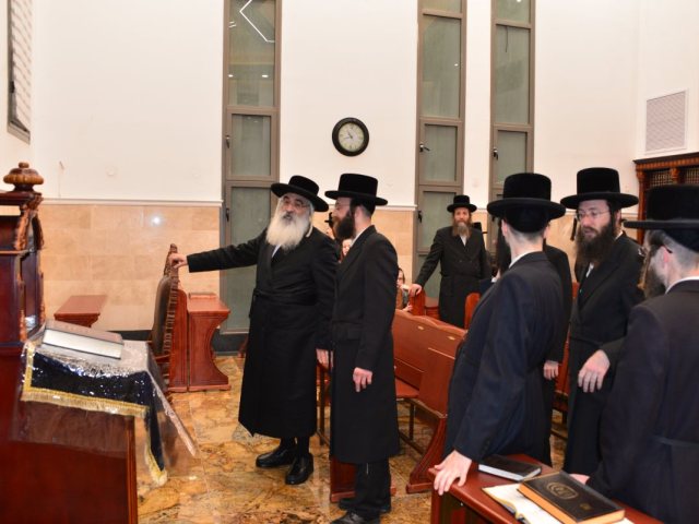 צילום: יוסי לוי
