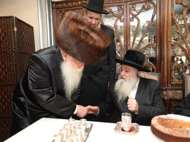 צילום: משה גולדשטיין דוד ארזני