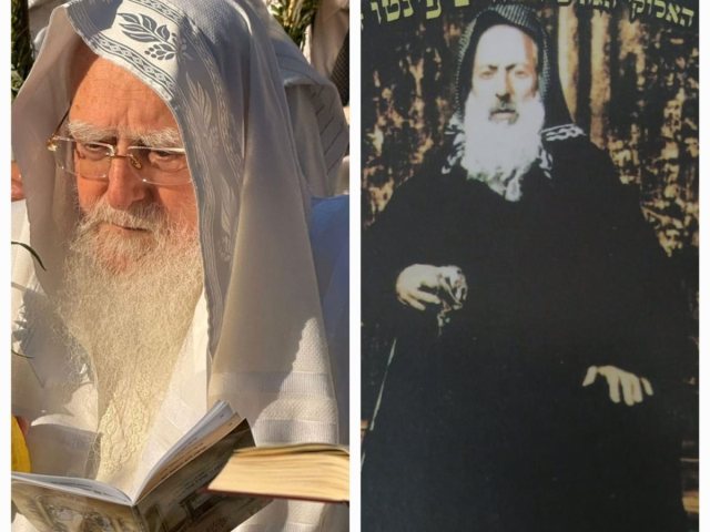 צילום: א. מיכאלי