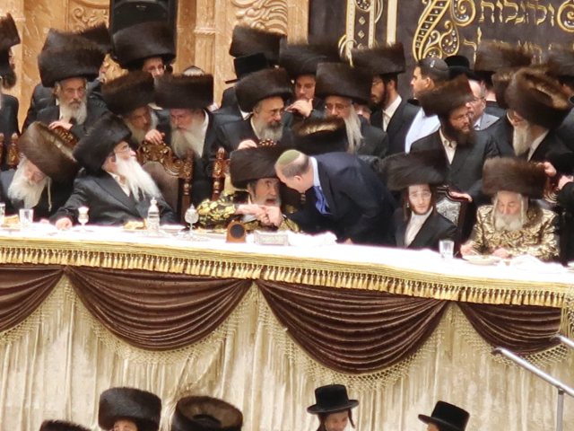 צילום: באדיבות המצלם