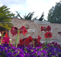 יזכור (צילום: עופר אשטוקר)