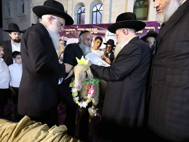 פדיון פטר חמור בחצר רבי רפאל אבוחצירא. מאיר עיני ישראל