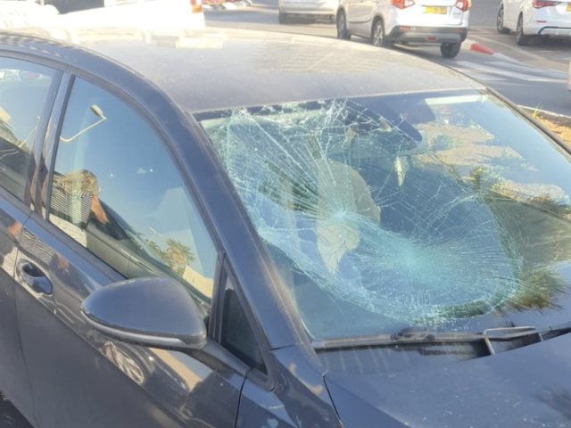 צילום: מד״א אשדוד
