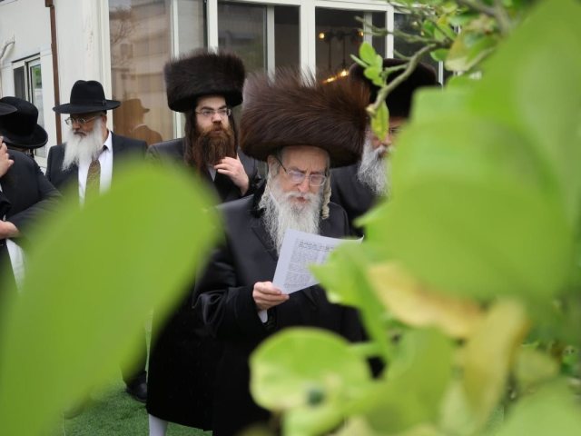 האדמור ממעליץ בברכת האילנות. א. ו