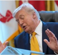 דונלד טראמפ - צילום: ap, Julia Demaree Nikhinson