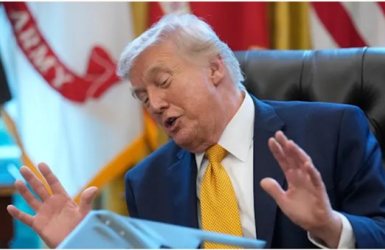 דונלד טראמפ - צילום: ap, Julia Demaree Nikhinson