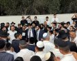 פדיון פטר חמור בראשות הרב פינטו. א מיכאלי